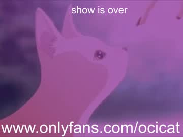 latina cam girl ocicat image #1608422