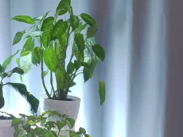 latina cam girl katrin_sweeft image #3213682