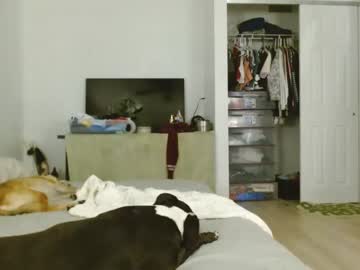 latina cam girl dazey1 image #4510892
