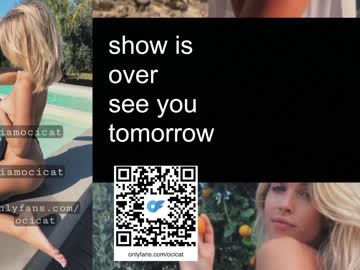 latina cam girl ocicat image #3876062