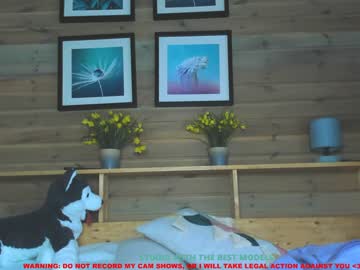 latina cam girl coy_amina image #379572