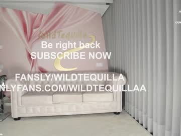 latina cam girl wildtequilla image #4445084
