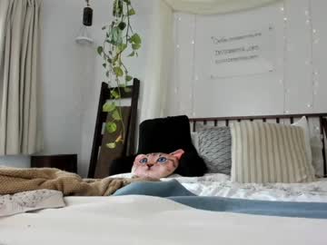 latina cam girl sexyashley_21 image #3123573