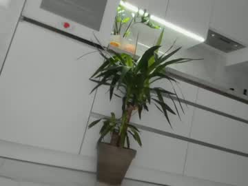 latina cam girl meryfoxxx image #1781266