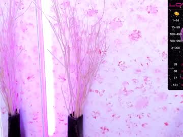 latina cam girl soon_lee image #1178635