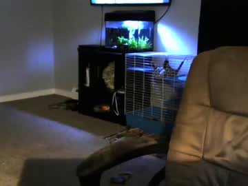 latina cam man sean0203 image #115368