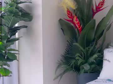 latina cam girl belle_adrienne image #1154261