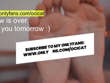 latina cam girl ocicat image #1349979