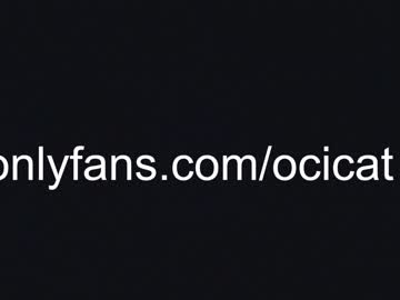 latina cam girl ocicat image #4456819