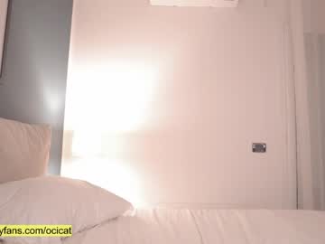latina cam girl ocicat image #2052297