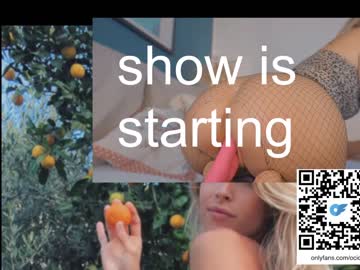 latina cam girl ocicat image #4466569