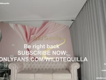latina cam girl wildtequilla image #3295363