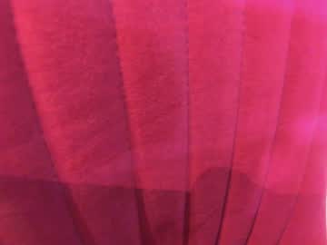 latina cam girl ehotlovea image #4072723