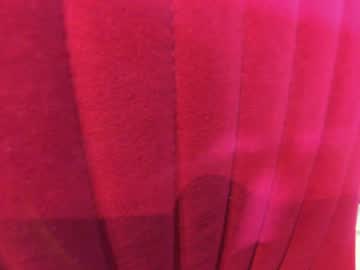 latina cam girl ehotlovea image #4071635