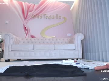 latina cam girl wildtequilla image #3190307