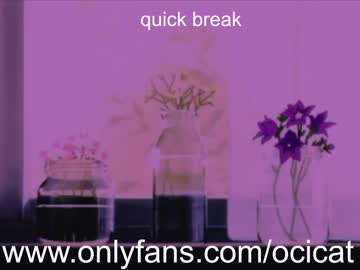 latina cam girl ocicat image #1521573