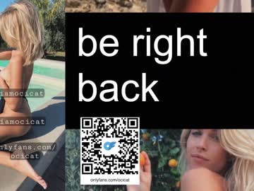 latina cam girl ocicat image #3880357