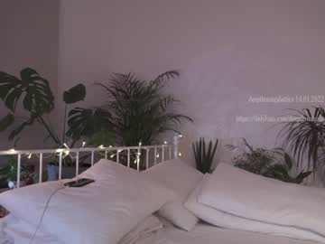 latina cam girl _deepthroatgalactica image #601873