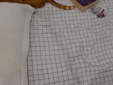 latina cam girl olive_fox image #2762588