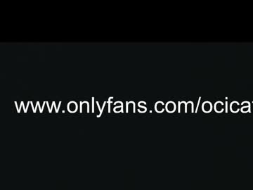 latina cam girl ocicat image #2962083