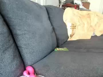 latina cam girl scartit image #986409