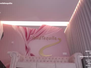 latina cam girl wildtequilla image #2137979