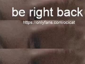 latina cam girl ocicat image #1770807