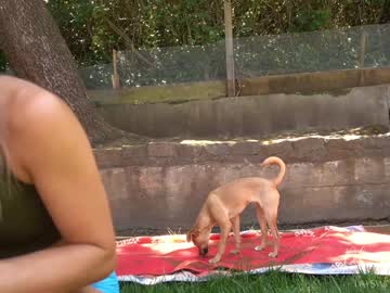 latina cam girl phoenix_taylor image #1358040