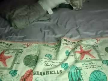 latina cam girl thatshot0820 image #2120436