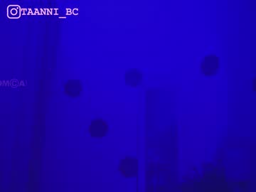 latina cam girl taanni_bc image #3947059