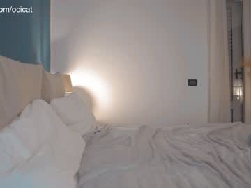 latina cam girl ocicat image #4253813