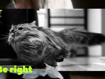 latina cam girl cinnabelle image #4374483