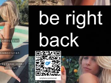 latina cam girl ocicat image #3870550