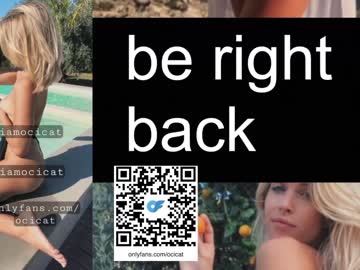 latina cam girl ocicat image #3875940