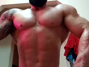 adonis_msc latina cam