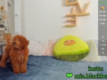 latina cam girl _blaackberry image #765576
