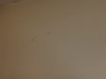 latina cam girl veraalexandria image #2430648