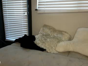 latina cam girl _natycutei19 image #3793595