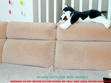 latina cam girl coy_amina image #88248