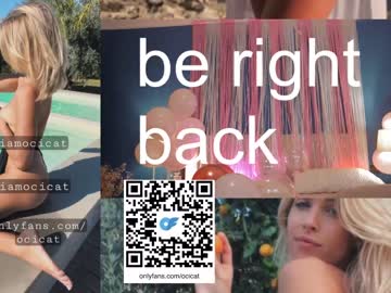 latina cam girl ocicat image #3750642