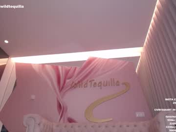 latina cam girl wildtequilla image #2137785