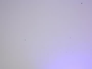latina cam girl sapphirealice image #1290795