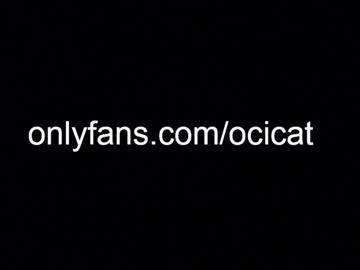latina cam girl ocicat image #3578626