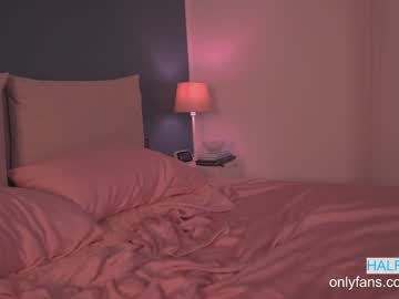 latina cam girl ocicat image #71015