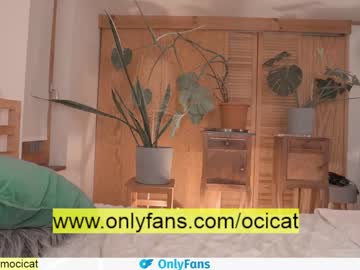 latina cam girl ocicat image #1617195