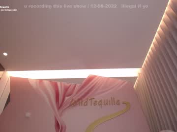 latina cam girl wildtequilla image #1607995