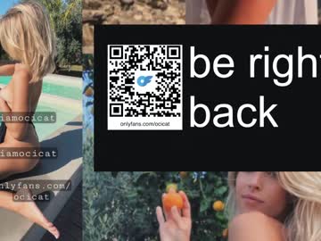 latina cam girl ocicat image #4291209
