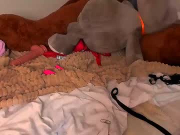 latina cam girl _elisfox image #925666