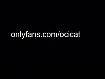 latina cam girl ocicat image #3597869
