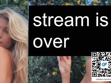 latina cam girl ocicat image #4116787
